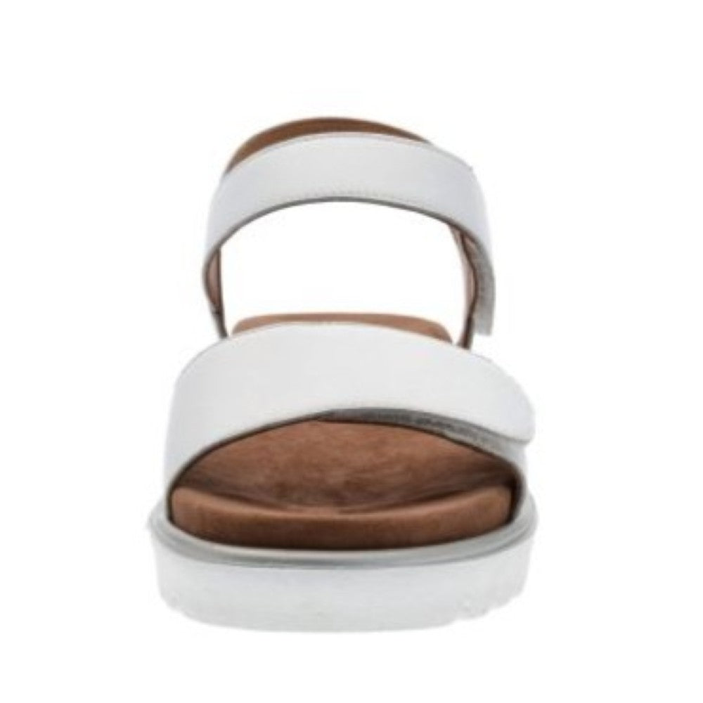 An ara white leather slide sandal with a brown contoured footbed and sole, shown from a front-facing perspective on a white background.