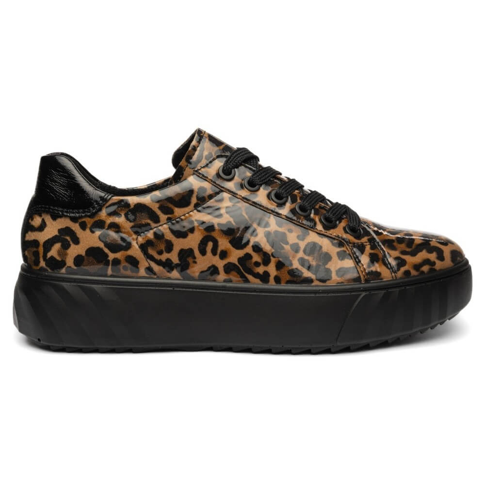 Ara low-top platform sneaker featuring a brown and black leopard print upper with black laces and thick black platform soles, shown against a plain white background.