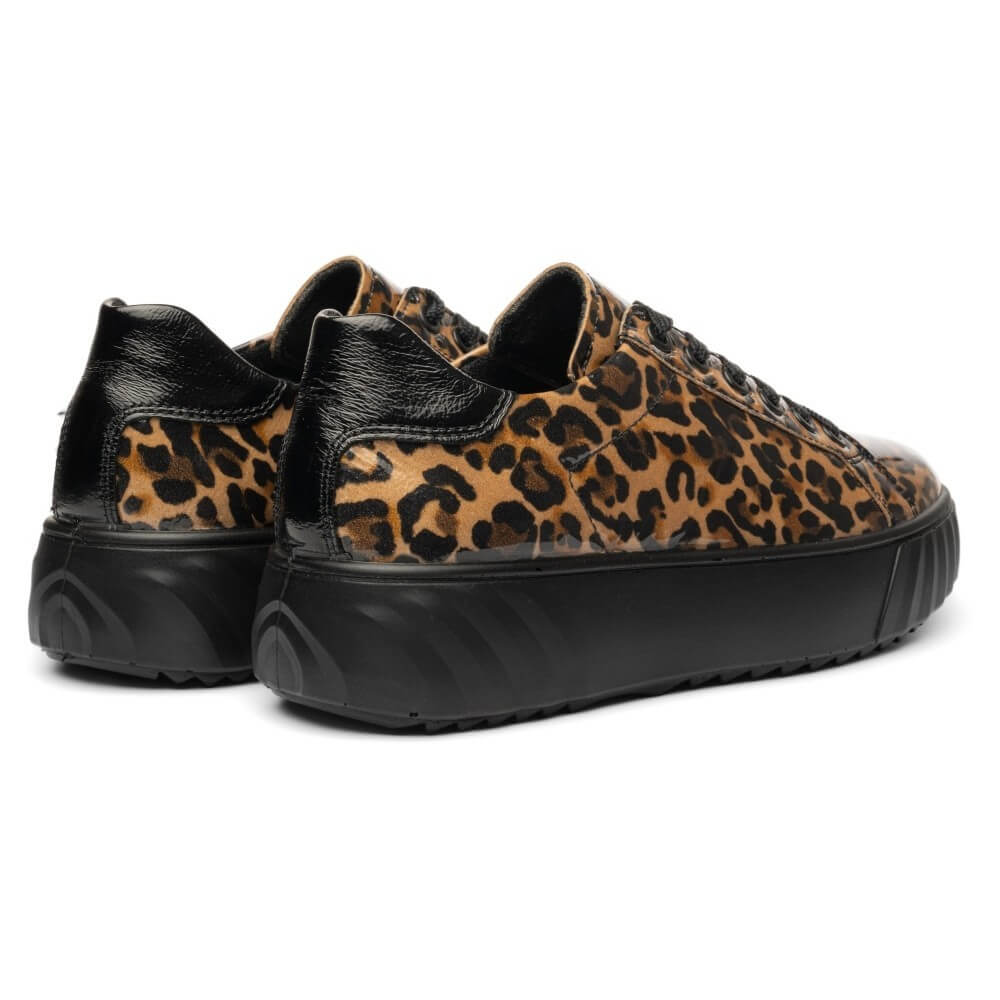 Ara Monaco 12-46523 H Fit Patent Leopard Print Trainer
