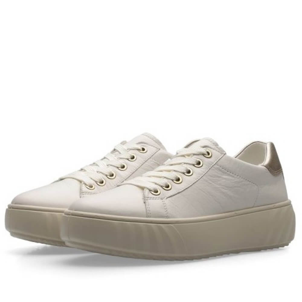 Pair of cream leather sneakers on a white background