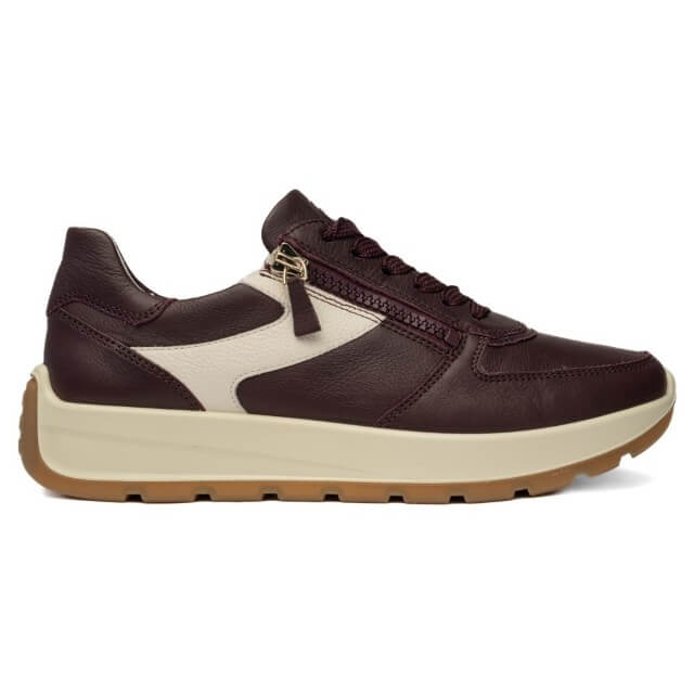 Ara wine leather sneaker with a cream-colored side panel and a cream midsole, featuring a brown rubber outsole and a gold-tone zipper.