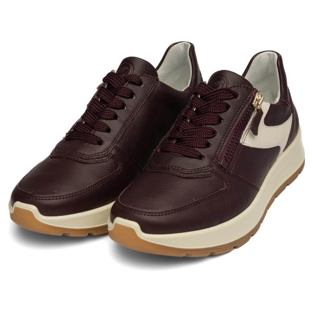 Ara wine leather sneaker with a cream-colored side panel and a cream midsole, featuring a brown rubber outsole and a gold-tone zipper.