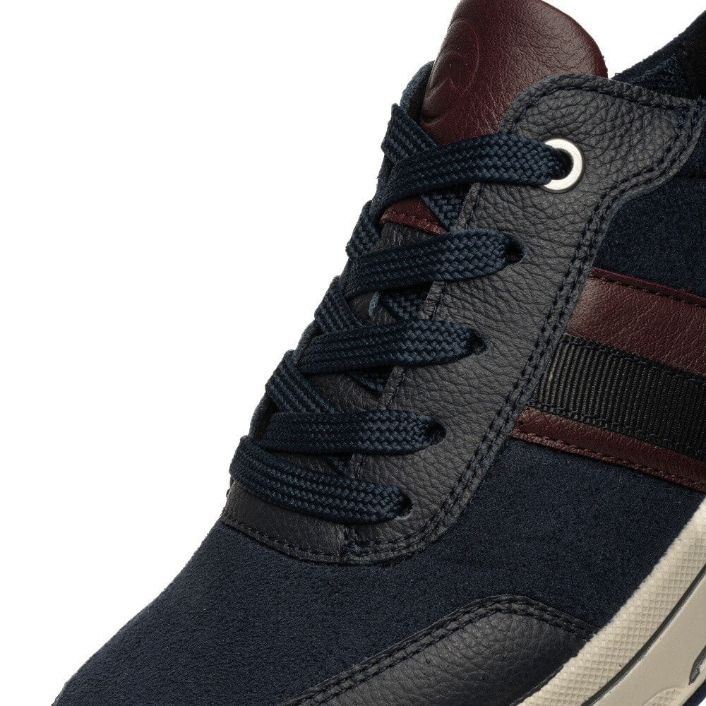 Ara Navy and wine leather trainer on a white background