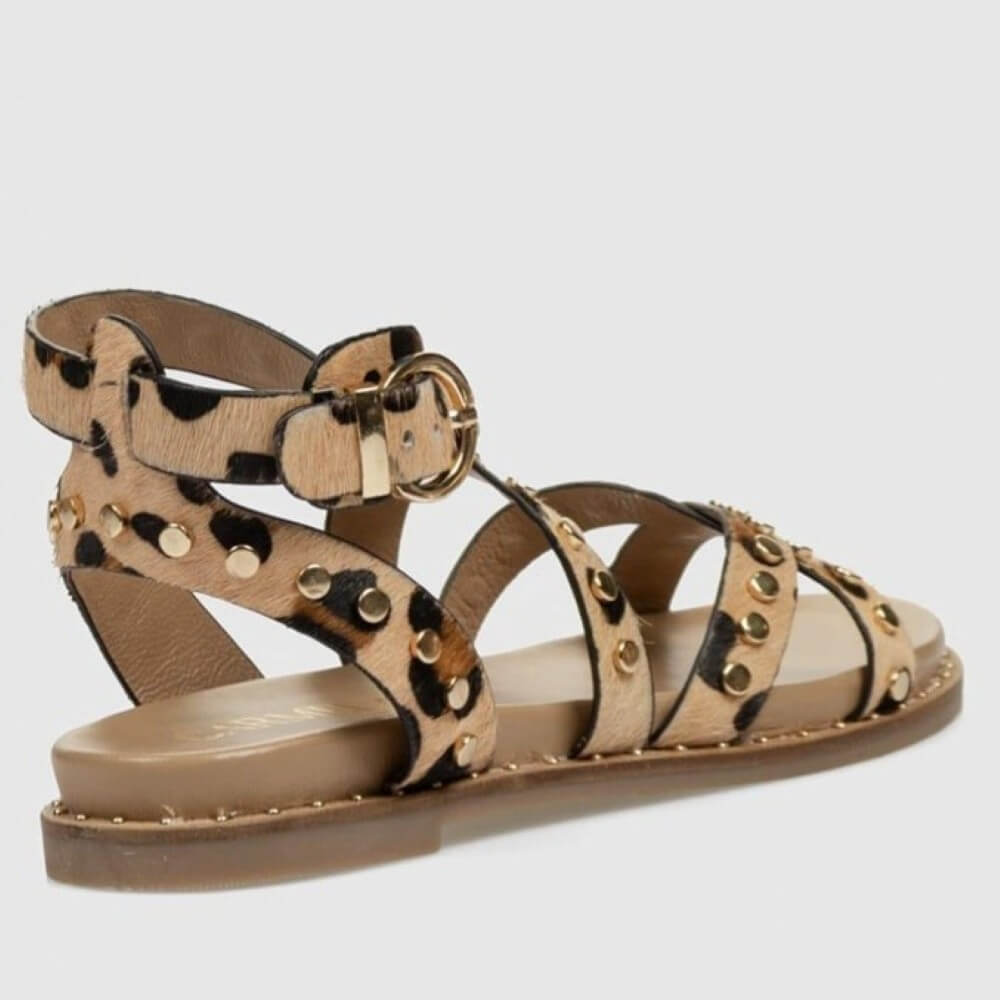 Carmela gladiator Leopard print sandal with gold accents on a light gray background