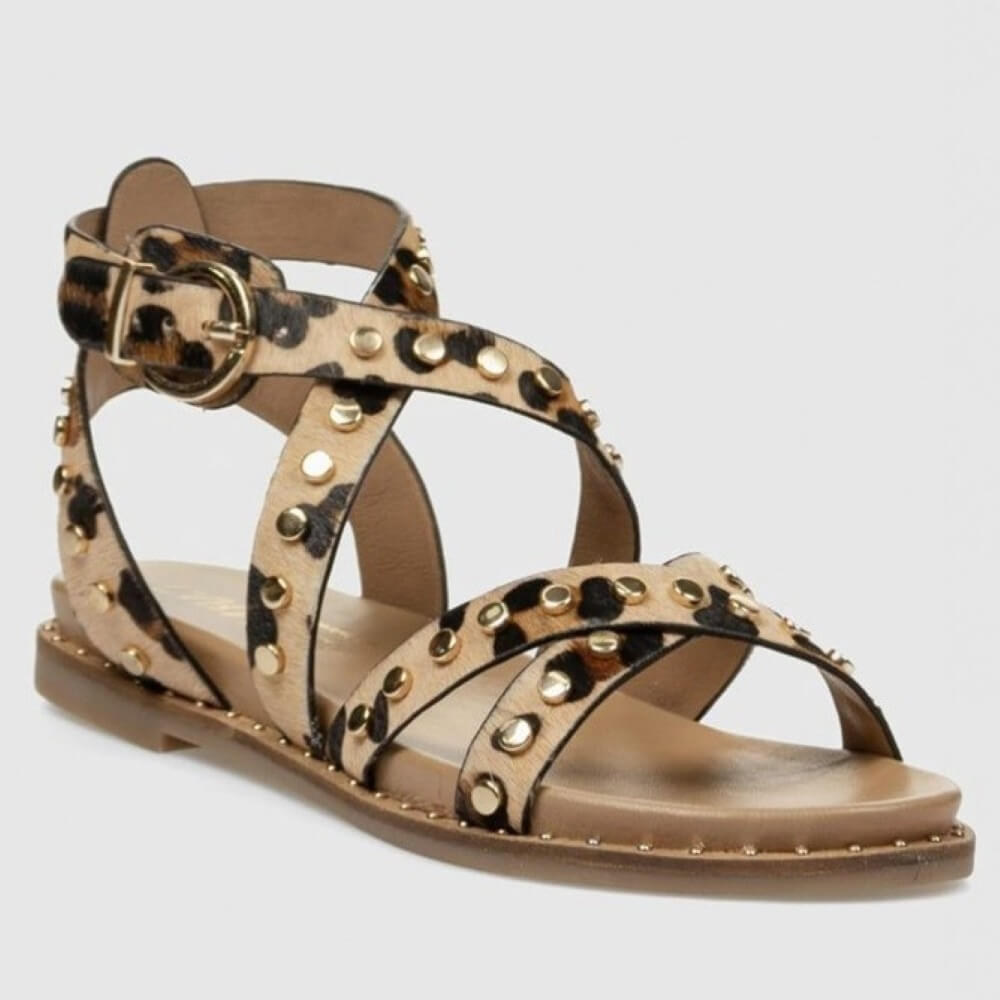 Carmela gladiator Leopard print sandal with gold accents on a light gray background