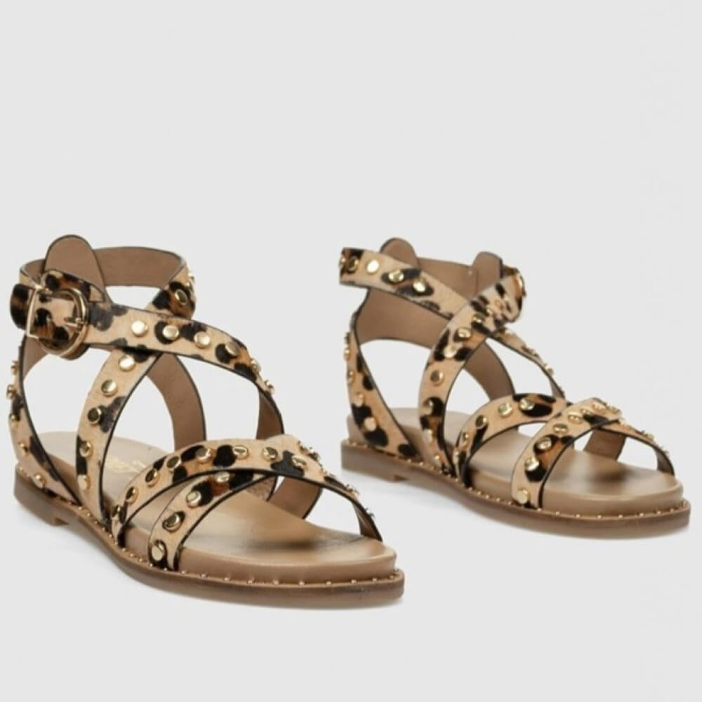 Carmela gladiator Leopard print sandals with gold accents on a light gray background