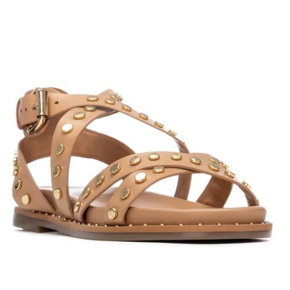 Carmela gladiator Tan sandal with stud details on a white background