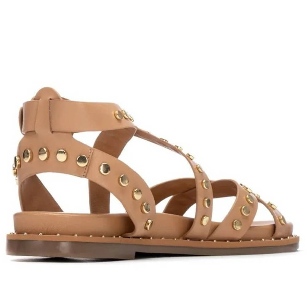 Carmela gladiator Tan sandal with stud details on a white background