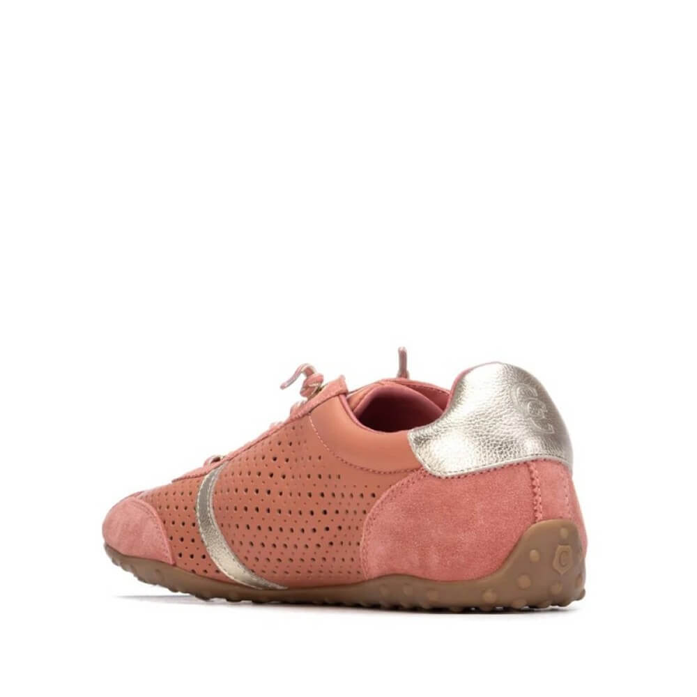 Carmela 163109 Suede Sneaker Coral
