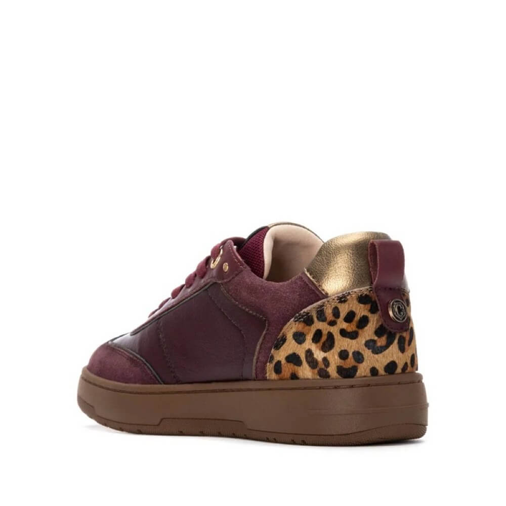 Carmela Leather Trainer 162504 Wine & Leopard