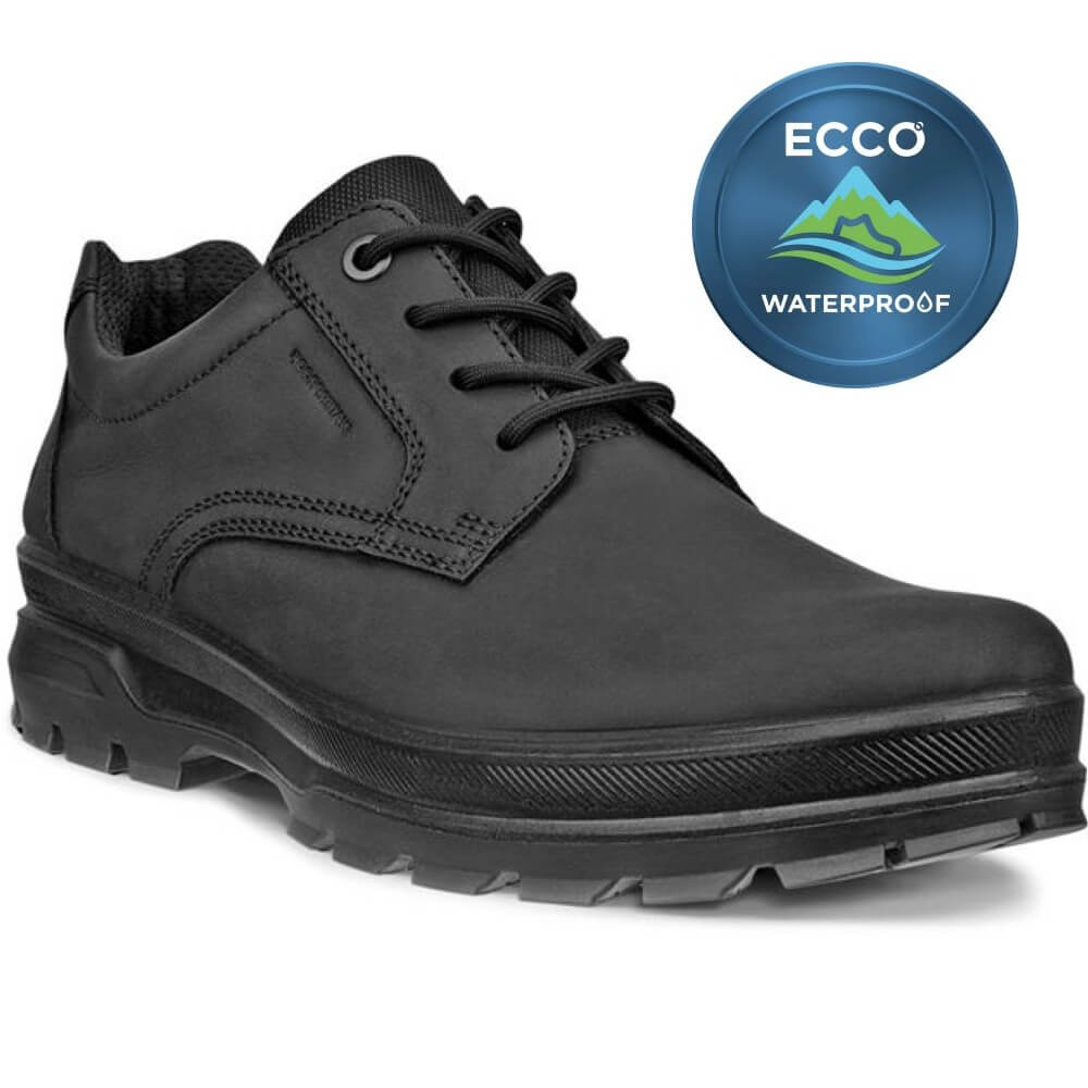 Black leather shoe with ECCO waterproof badge on a white background