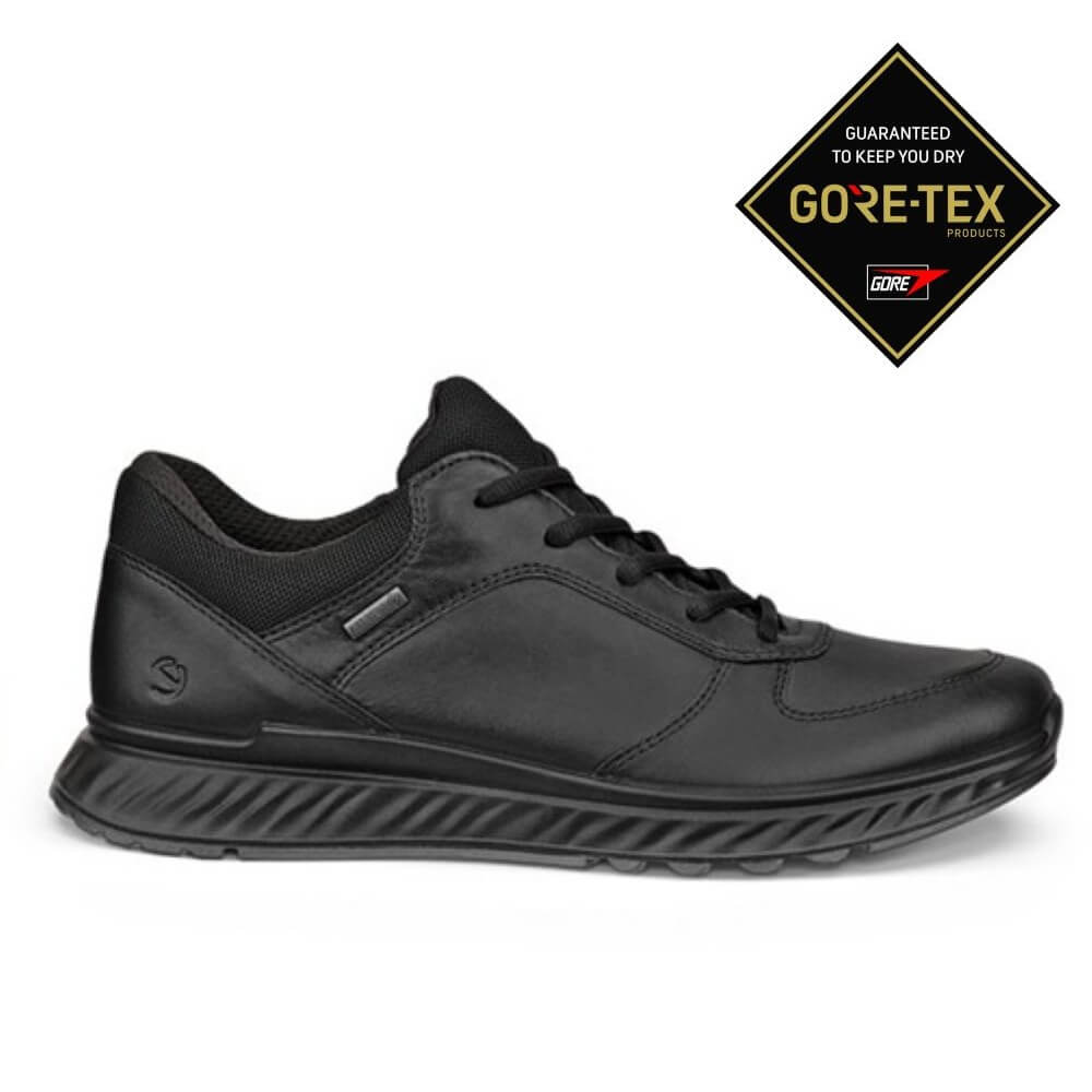 Ecco Black Gore-Tex walking shoe