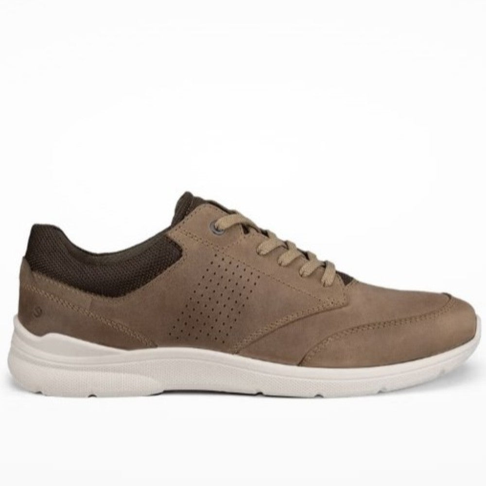 Ecco Brown sneaker on a white background