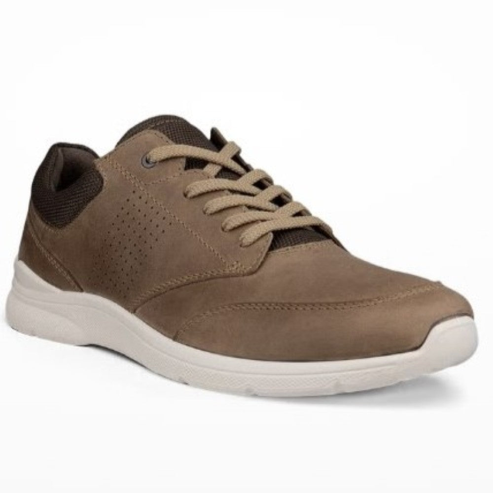 Ecco Brown sneaker on a white background