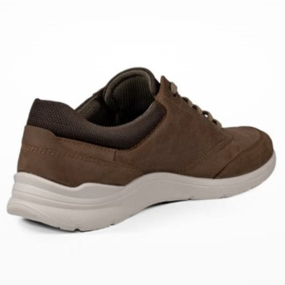 Ecco Brown sneaker on a white background
