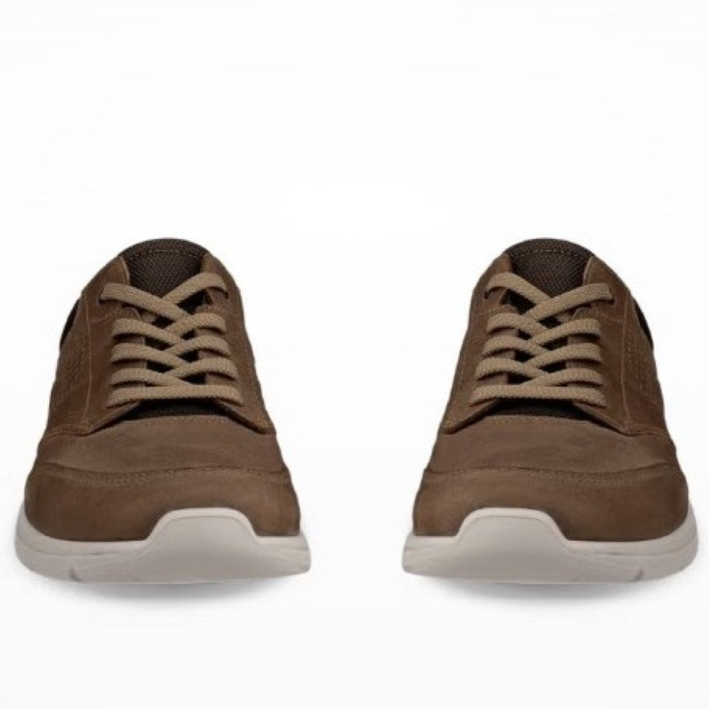 Pair of brown sneakers on a white background