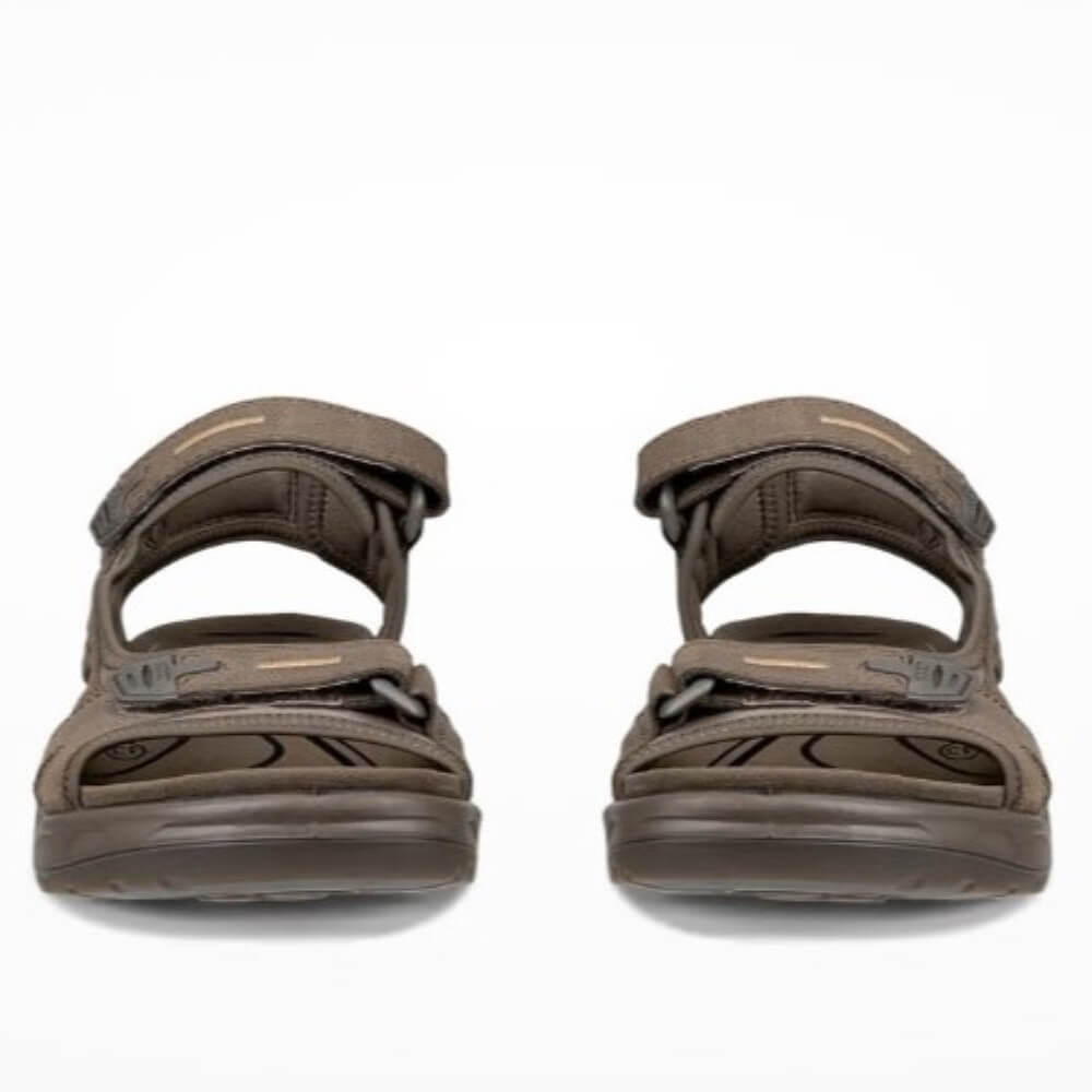 Pair of brown sandals on a white background