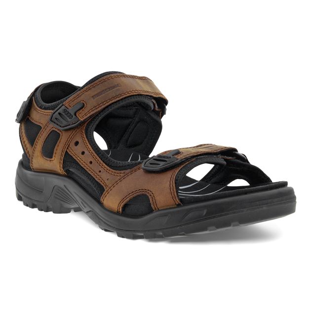 A brown Ecco Offroad sandal with a black strappy and a flat sole. Ecco Offroad Sandal 822184-BROWN