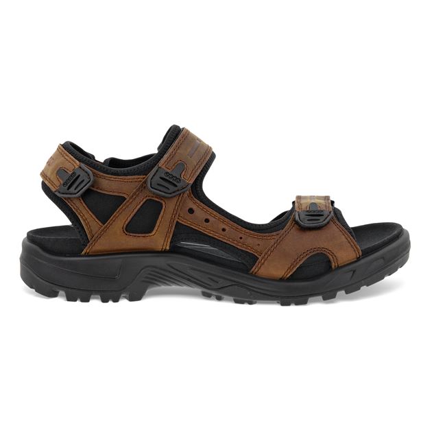 Ecco Offroad Sandal 822184-BROWN