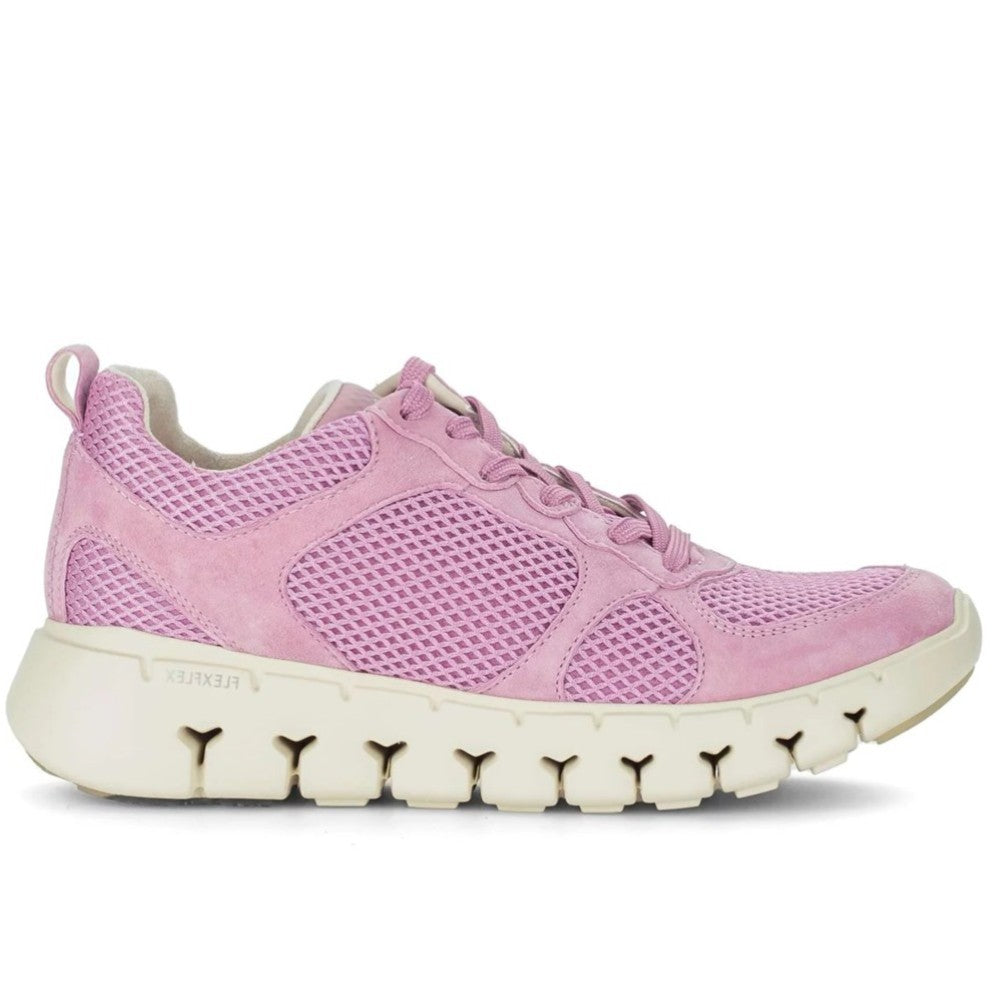 Gabor Pink Mesh Trainers on a white Background