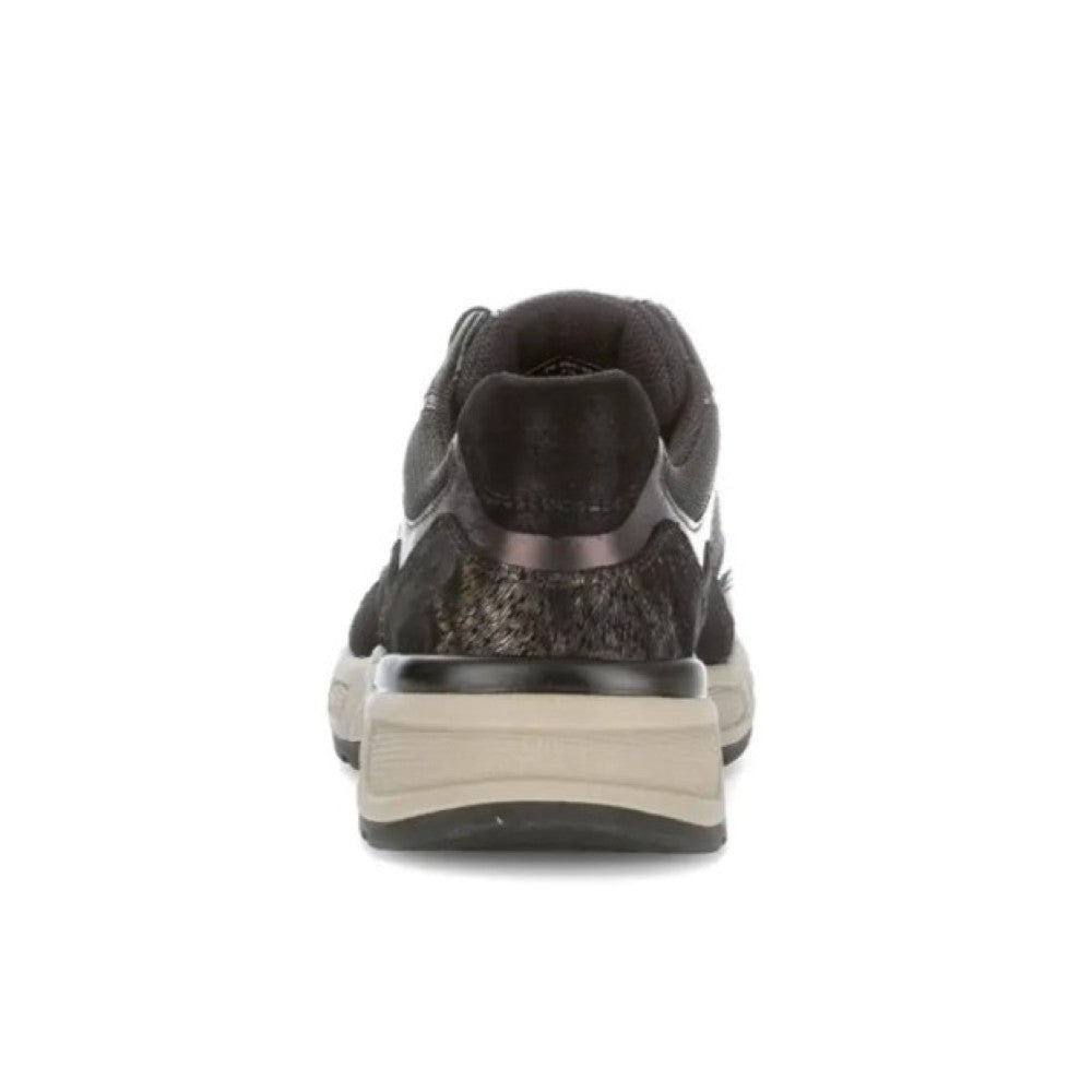 Black and brown sneaker on a white background Gabor Capri 76.585 Leather Trainer Black Brown