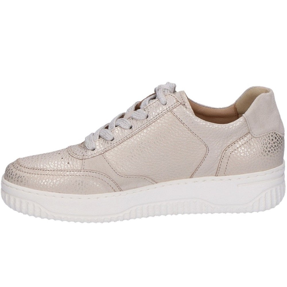 Hartjes Boogie 162.1952 H Fit-GOLD