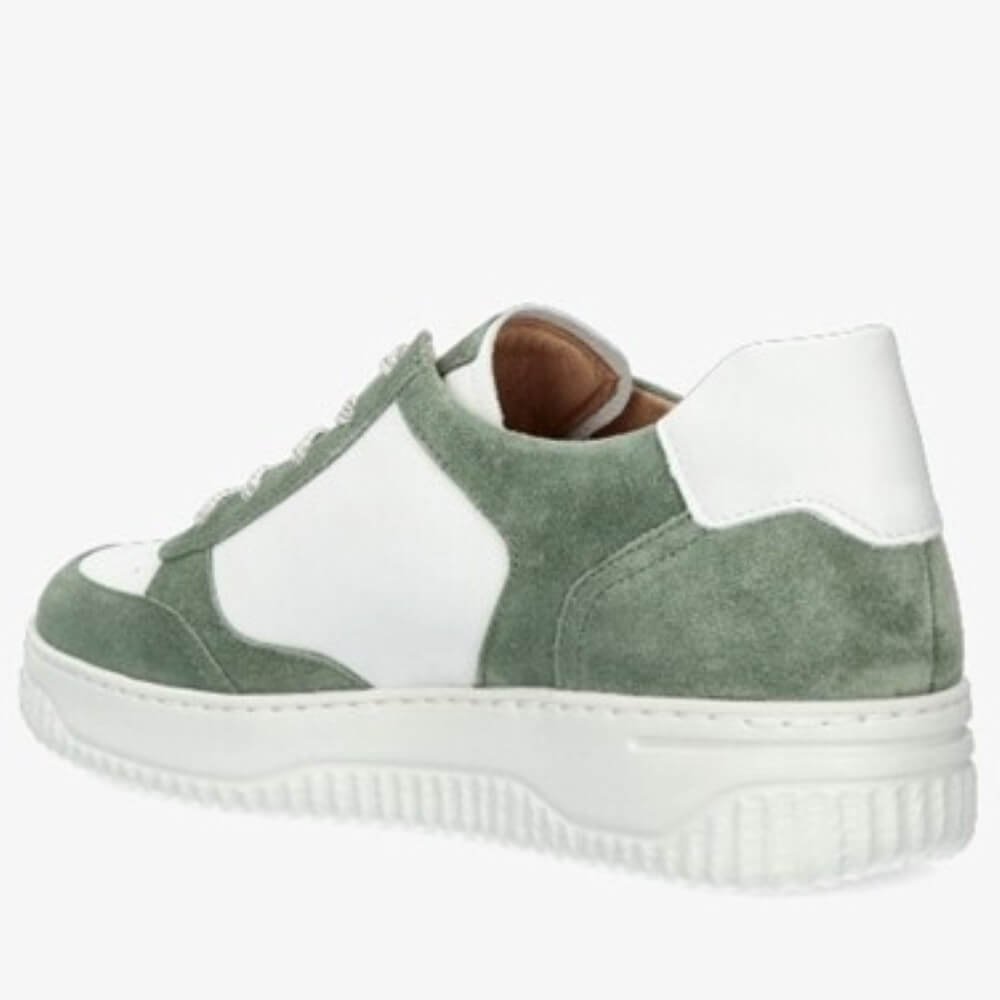 Hartjes Boogie 162.1952 H Fit White and Green