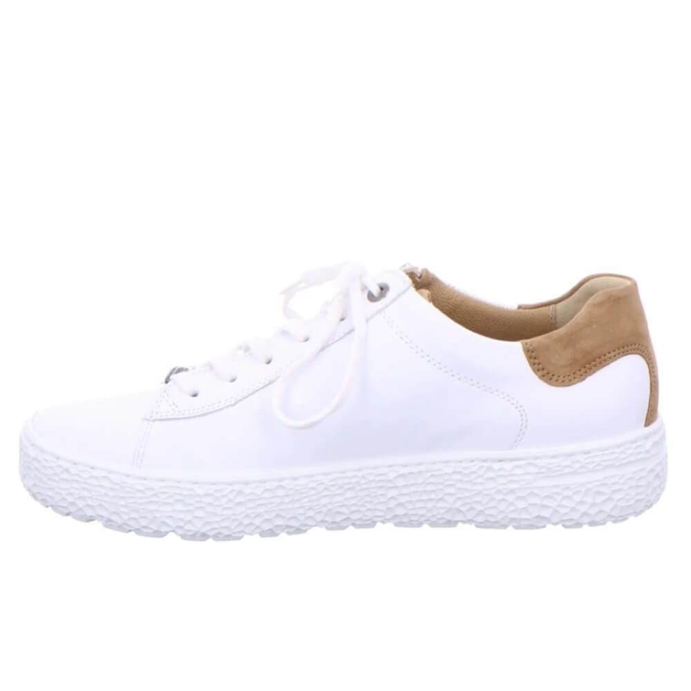 White sneaker with a brown heel tab on a white background Hartjes Phil 162.1418 H-Fit white-cognac
