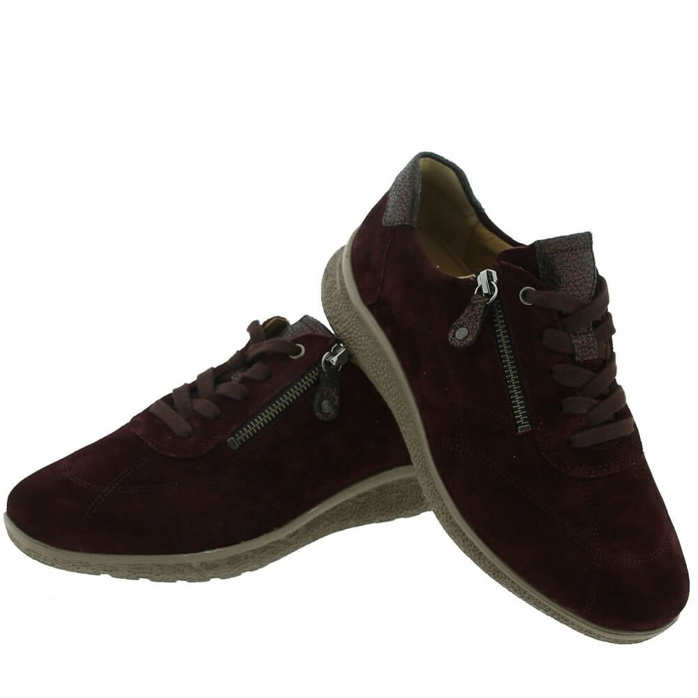 Hartjes Rap 162.1602 K Fit-AUBERGINE