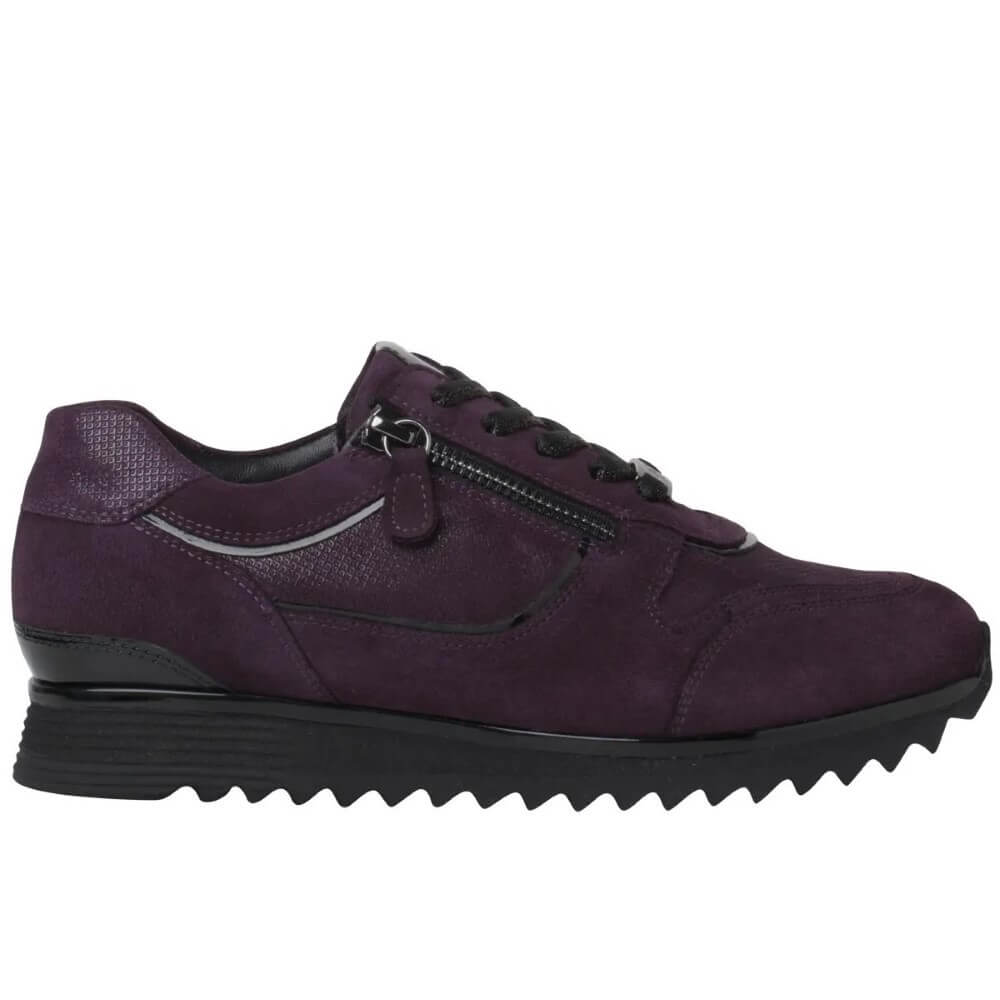 Hassia Porto 6-30 2033 H-Fit-PLUM