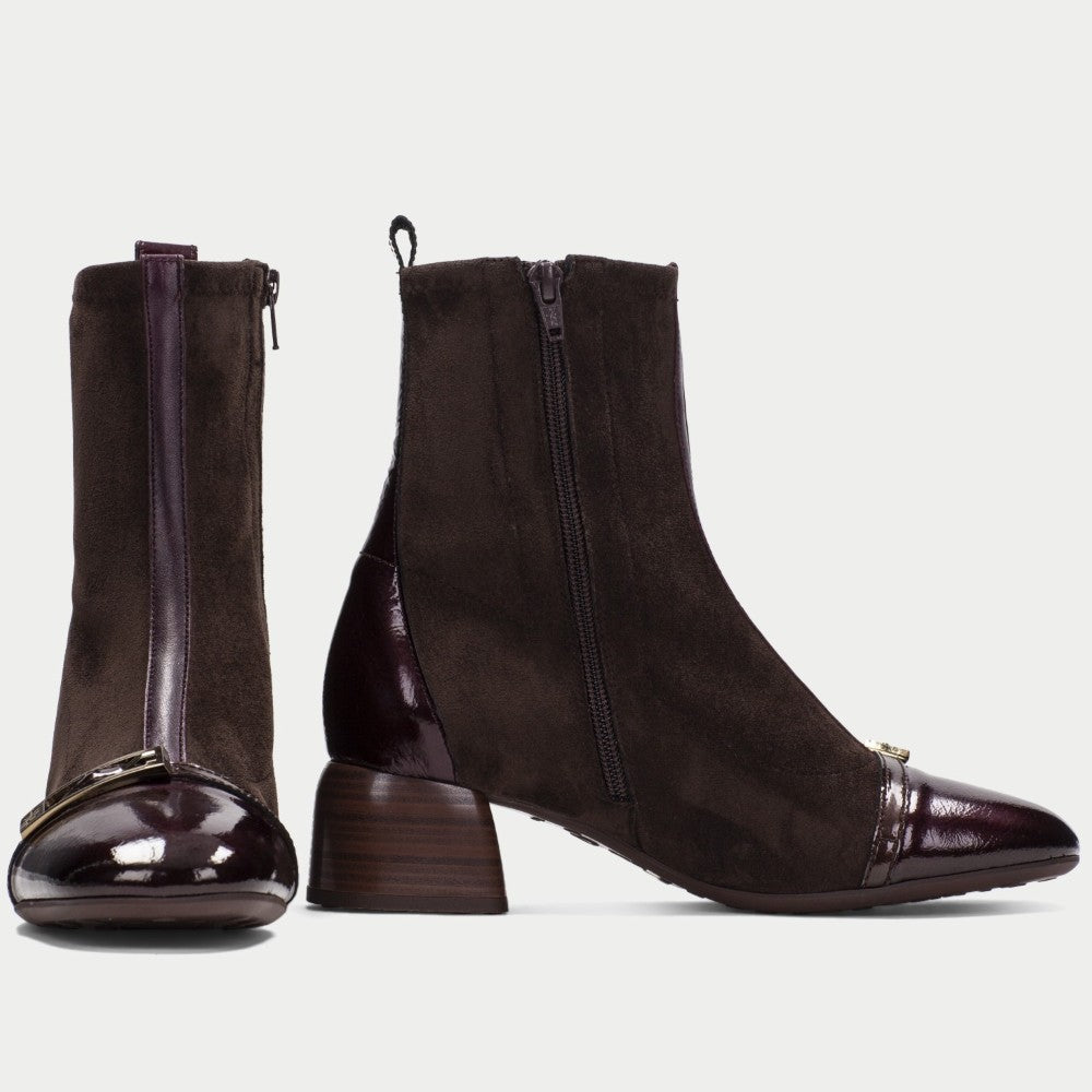 A pair of Hispanitas dark brown ankle boots with a mix of suede and patent leather materials, featuring a block heel, side zipper, and a small gold-tone decorative accent on the toe cap.