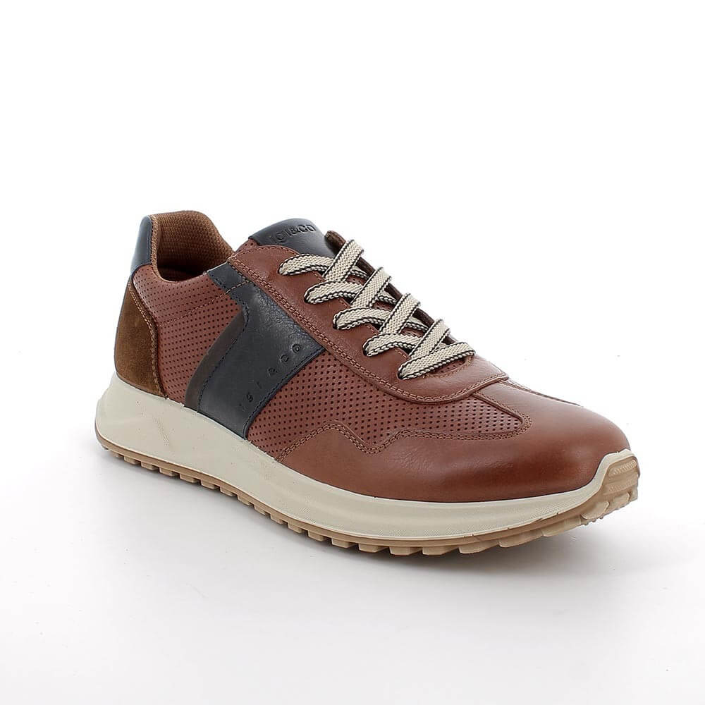 Igi & Co Brown leather sneaker with black accent on a white background