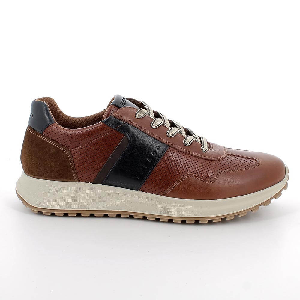 Igi & Co Brown leather sneaker with black accent on a white background