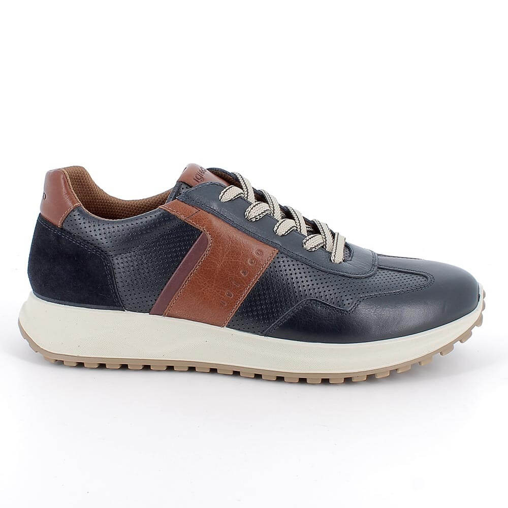 Igi & Go Navy and brown leather sneaker