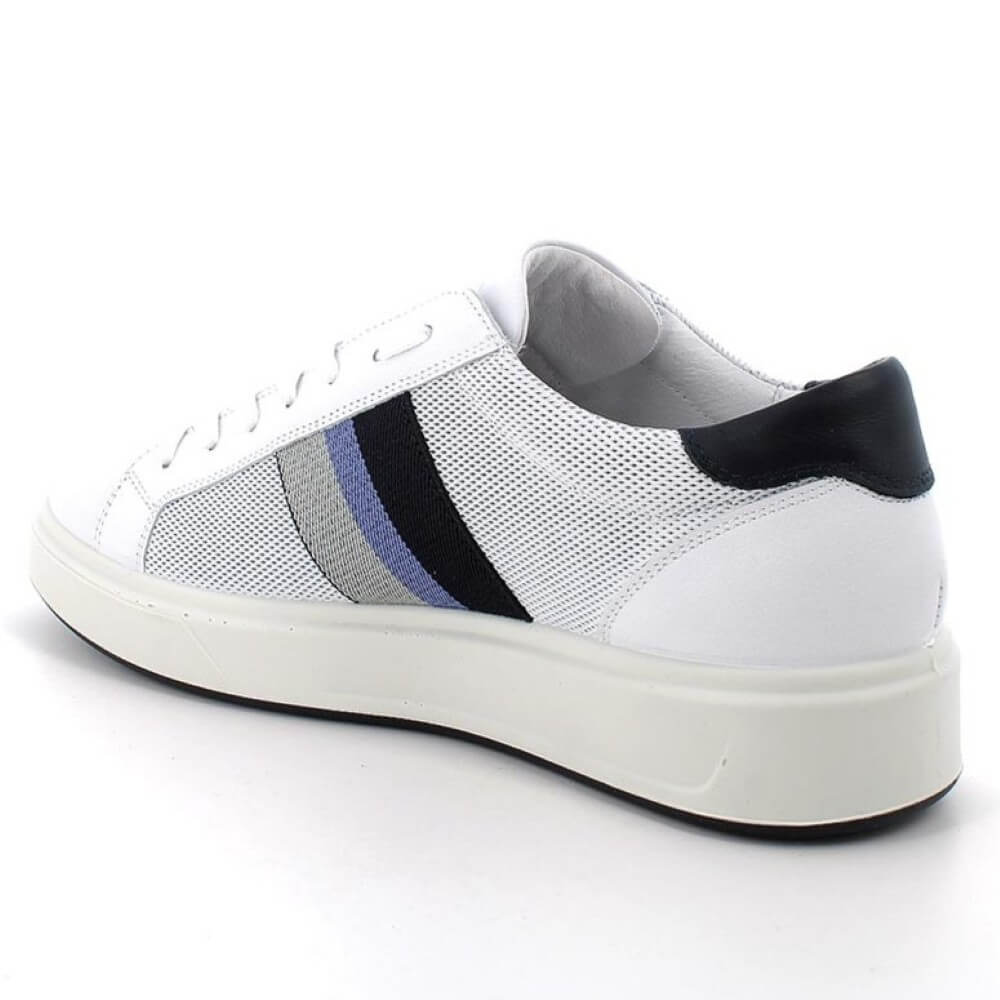 Igi & Co. Leather Trainer 76290