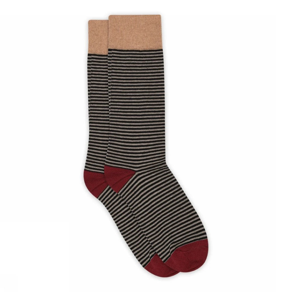 Navy Multi Coloured striped cotton socks