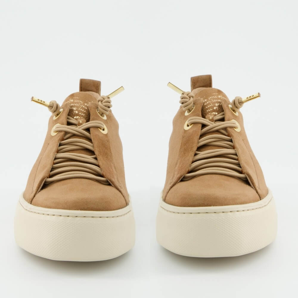 Pair of tan elastic lace sneakers with white soles on a light gray background