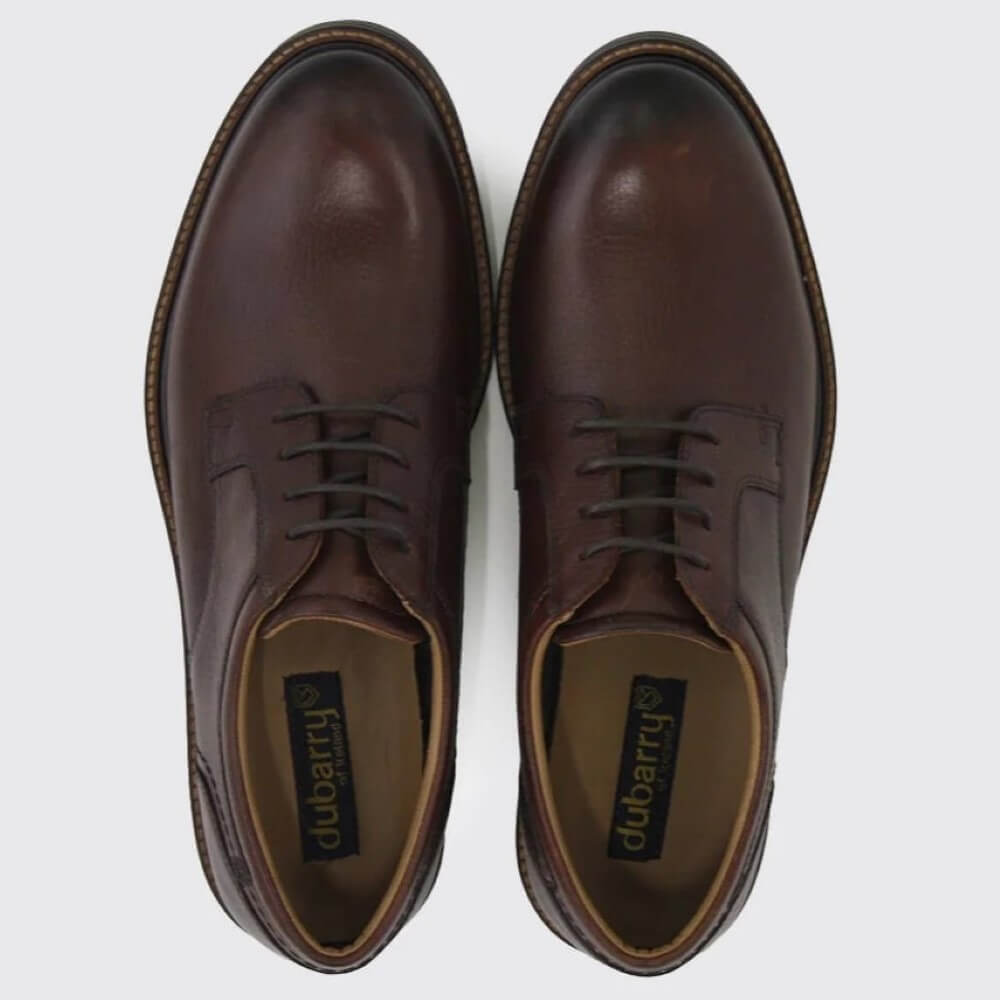 Dubarry Sly Smart Casual Mens Leather Shoe-BROWN