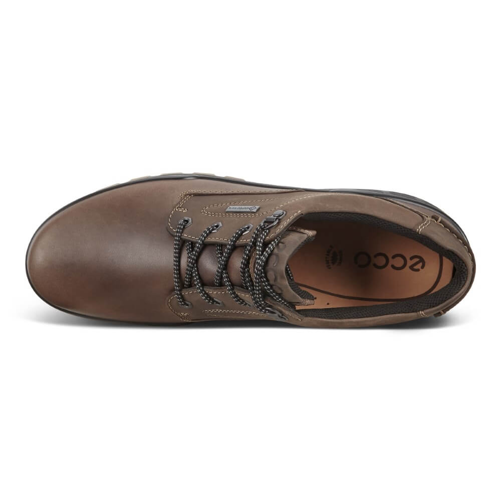 ECCO 831844 Track 25-CLAY COFFEE Gore-Tex