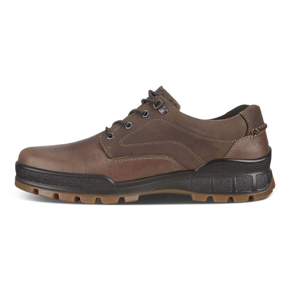 ECCO 831844 Track 25-CLAY COFFEE Gore-Tex