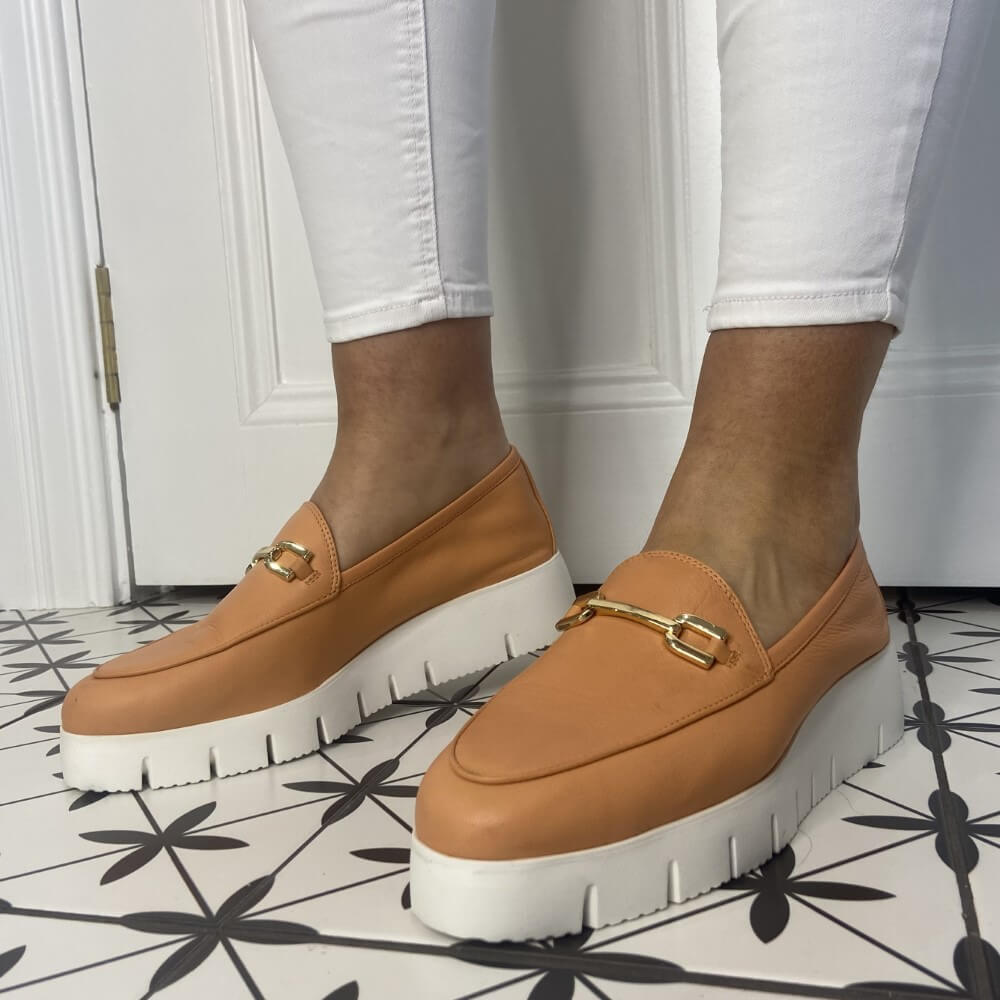 Unisa FAMO-CORAL