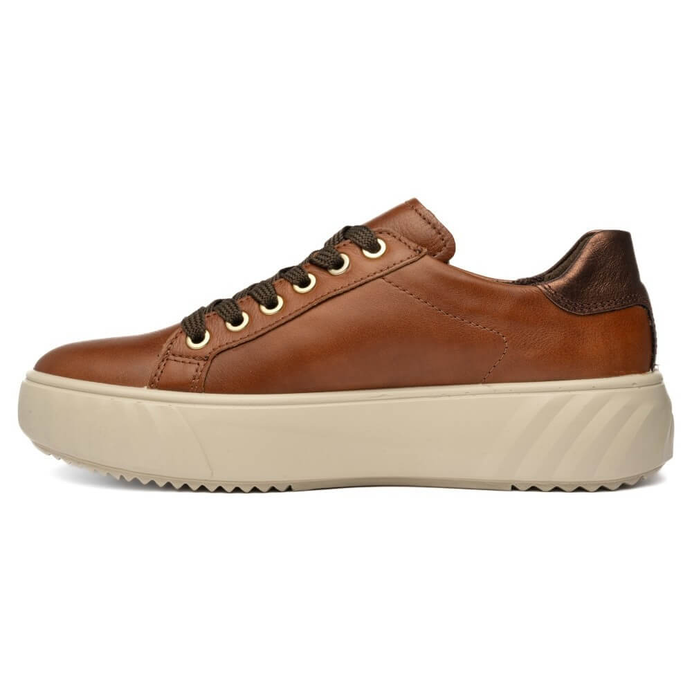 Ara brown leather low-top sneaker with dark brown laces, gold eyelets, and a thick beige platform sole, shown from a side profile on a white background.