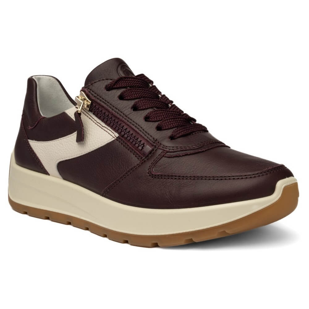 Ara wine leather sneaker with a cream-colored side panel and a cream midsole, featuring a brown rubber outsole and a gold-tone zipper.