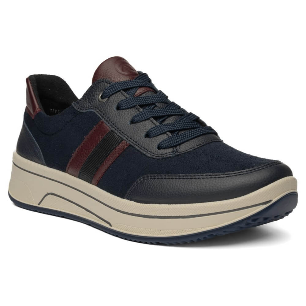 Ara Navy and wine leather trainer on a white background