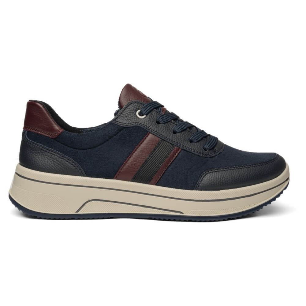 Ara Navy and wine leather trainer on a white background