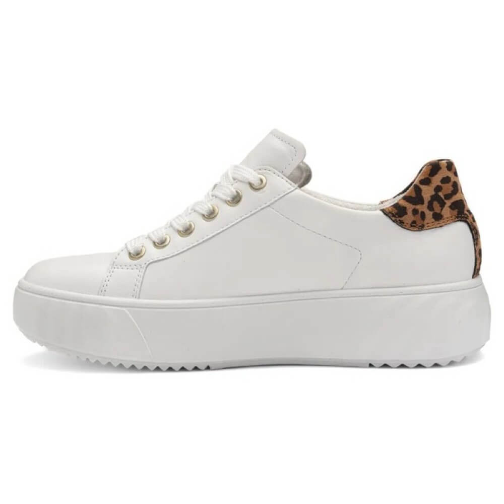 White sneaker with leopard print heel on a white background