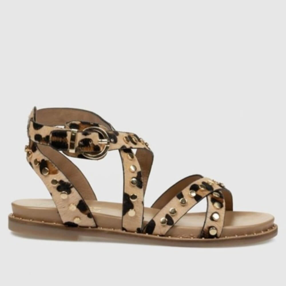 Carmela gladiator Leopard print sandal with gold accents on a light gray background