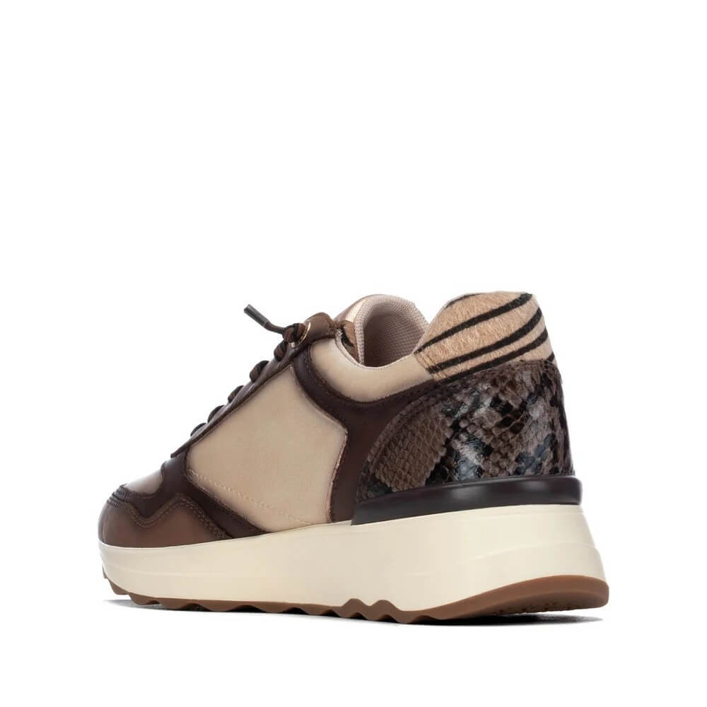 Carmela 164221 Leather Trainer Brown and Cream