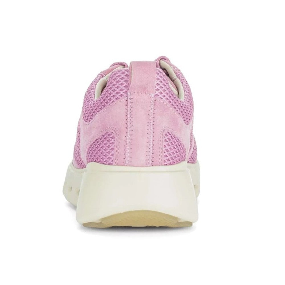 Gabor Pink Mesh Trainers on a white Background