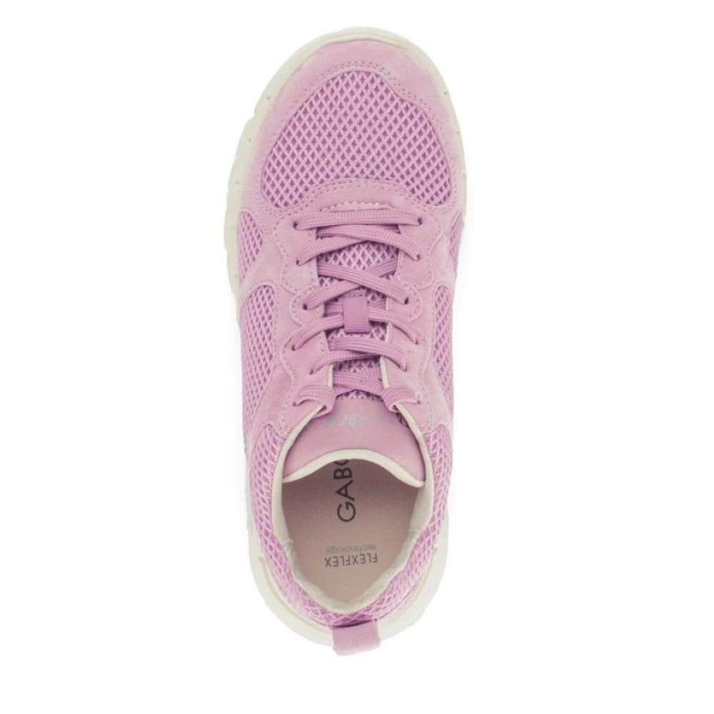 Gabor Pink Mesh Trainers on a white Background